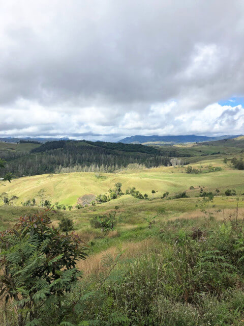 パプアニューギニア ボカ農園