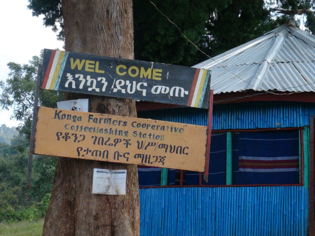 エチオピア イルガチェフェ G1 コンガ農協