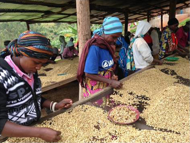 ルワンダ シンビ・CWS