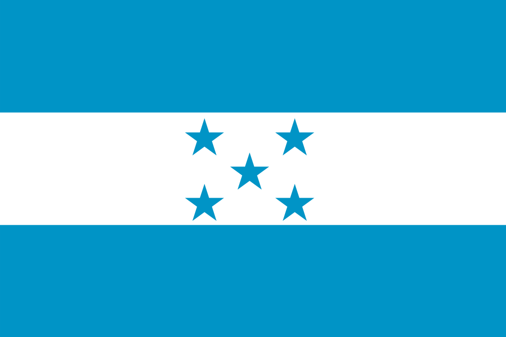 ホンジュラス テパングアレ農園 アナエロビック