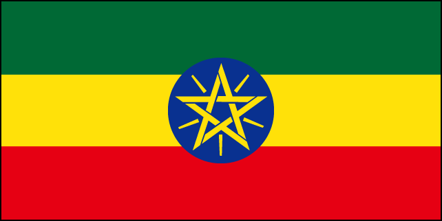 エチオピア イルガチェフェ G1 コンガ農協